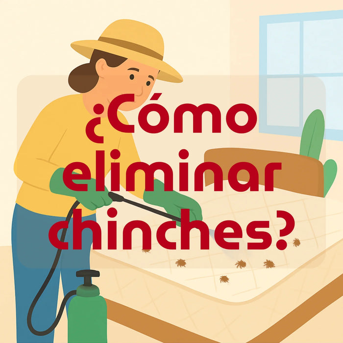 portada de como eliminar chinches cama 