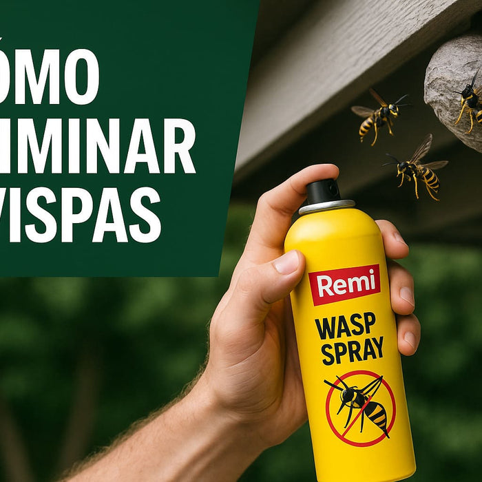 ¿Cómo Matar Avispas? - Remi Hogar