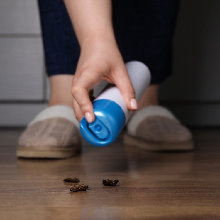 ¿Cómo Matar Cucarachas Definitivamente? - Remi Hogar