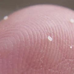 Cómo Eliminar Huevos de Pulgas en la Cama - Remi Hogar