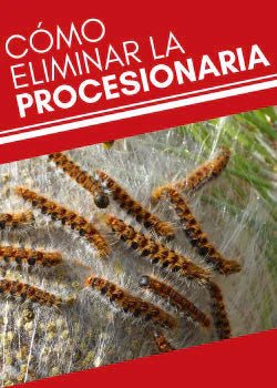 Cómo eliminar la Oruga Procesionaria Definitivamente - Remi Hogar