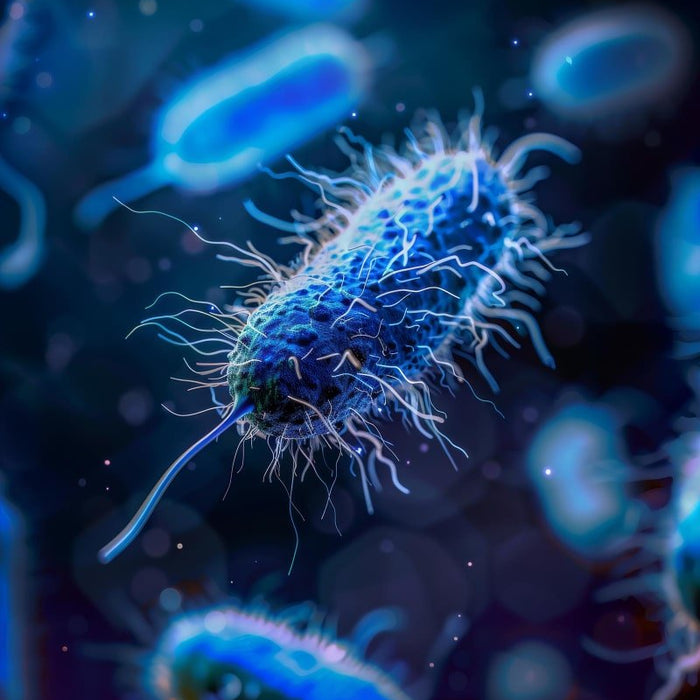 ¿Qué es la Legionella? - Remi Hogar