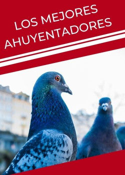 Los mejores ahuyentadores de aves