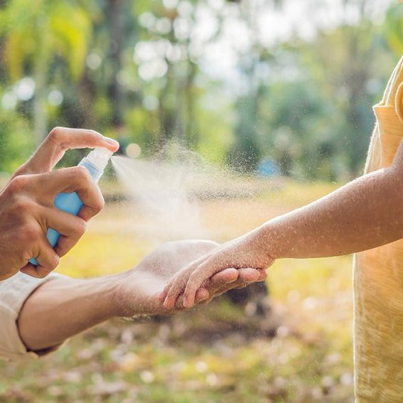 Los Mejores Repelentes Para Mosquitos  y Como Proteger tu Hogar - Remi Hogar