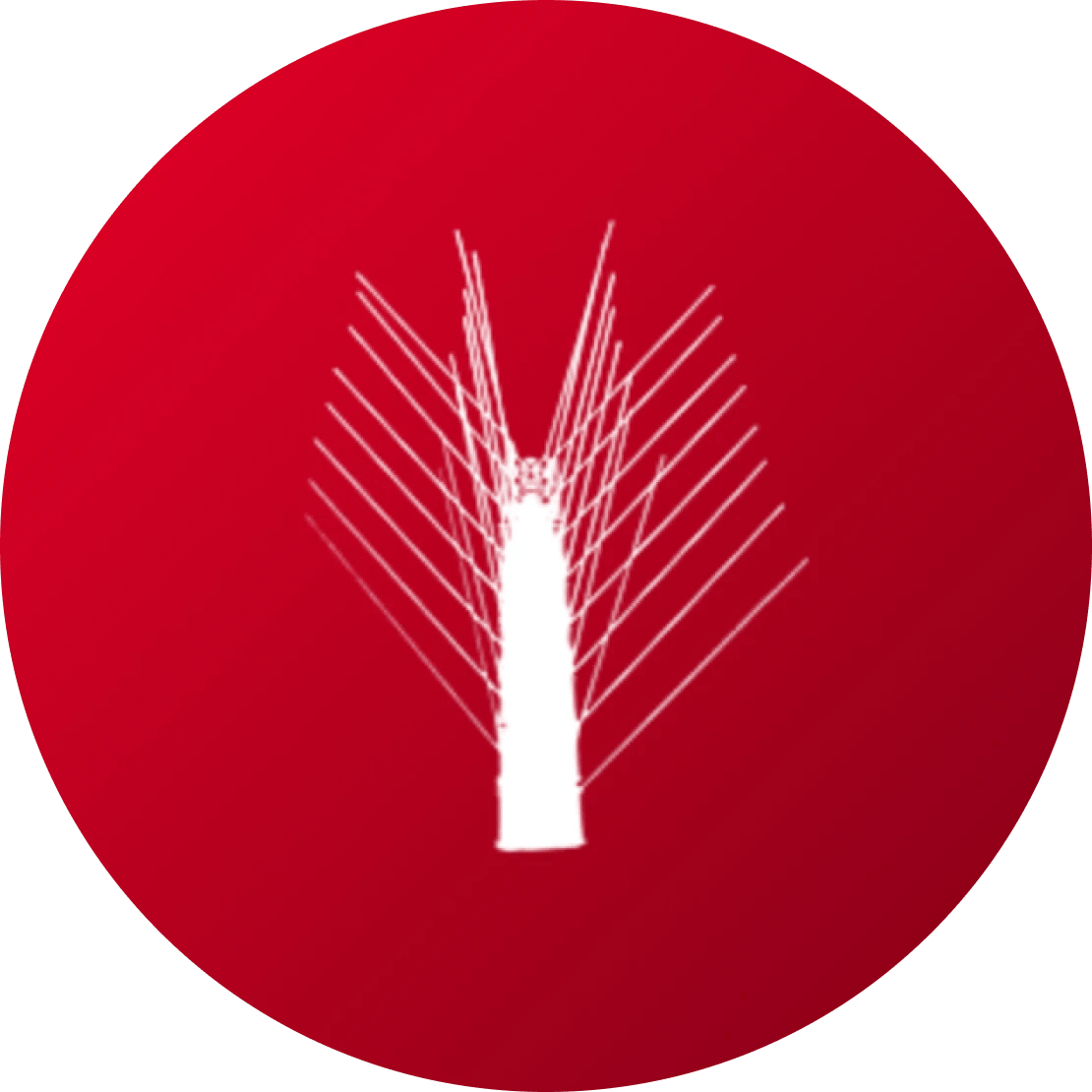 Pinchos Anti Gaviotas - Remi Hogar