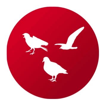 Ahuyentar pájaros - Remi Hogar