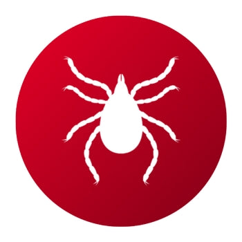 Productos para Eliminar Ácaros - Remi Hogar