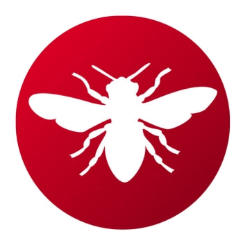 Productos para Eliminar Avispas - Remi Hogar