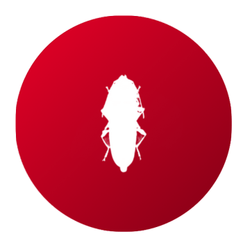 Productos para Eliminar Carcoma - Remi Hogar