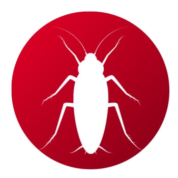 Productos Para Eliminar Cucarachas - Remi Hogar