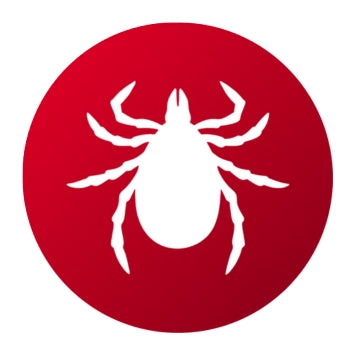 Insecticida Garrapatas - Remi Hogar