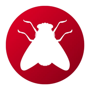 Matamoscas - Remi Hogar