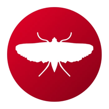 Insecticidas para Polillas - Remi Hogar