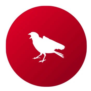 Ahuyentar Gorriones - Remi Hogar