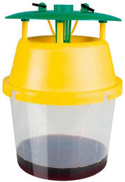 Trampa para capturar Avispa Asiática Velutina - Masso - Remi Hogar