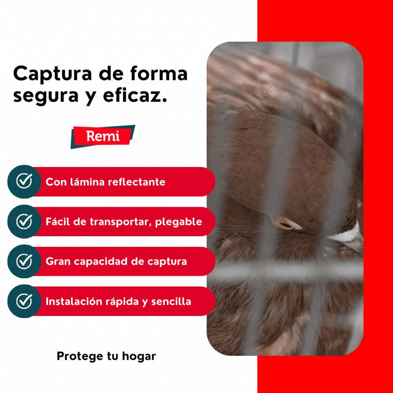 Jaula, Trampa para Palomas Plegable - Remi Hogar - Remi Hogar