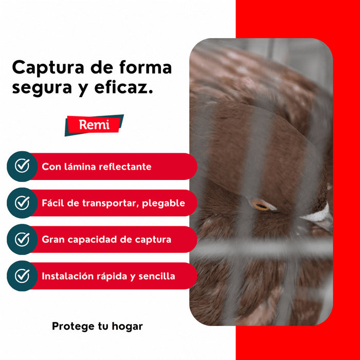 Armadilha dobrável para pombos - Remi Hogar