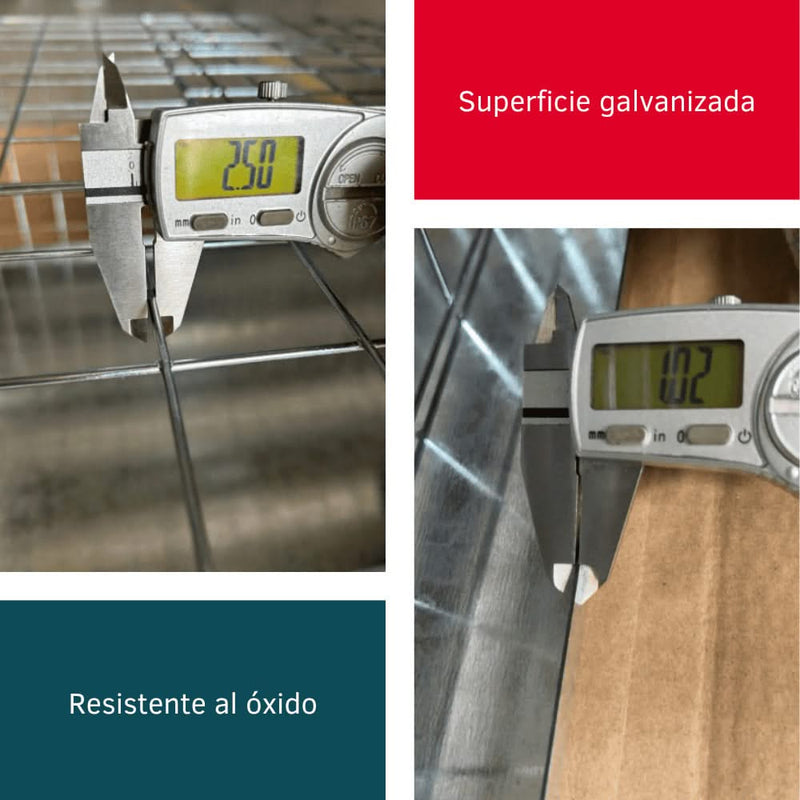 Jaula, Trampa para Palomas Plegable - Remi Hogar - Remi Hogar