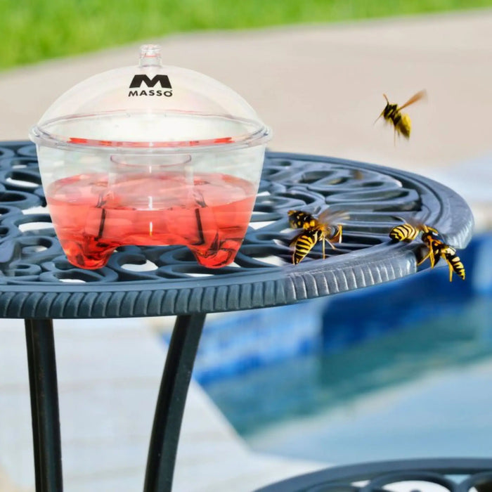 Atrativo concentrado para vespas 500ml Preben - Masso