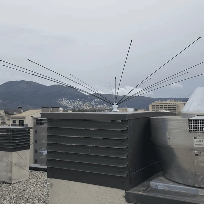 Eolo Araña Espantapájaros - Remi Hogar