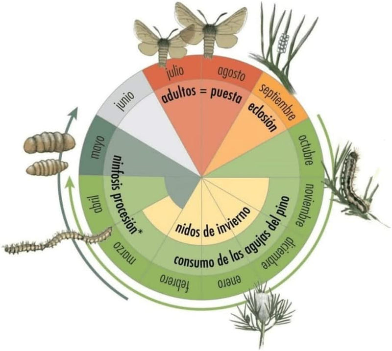 Suplementos para Collar Procesionaria - Remi Hogar