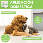 Tierra Diatomeas Micronizada - Remi Hogar - Remi Hogar