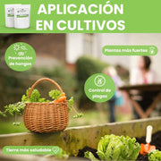 Tierra Diatomeas Micronizada - Remi Hogar - Remi Hogar