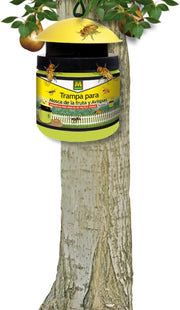 Preben Trampa para Avispas y Mosca De La Fruta - Masso - Remi Hogar