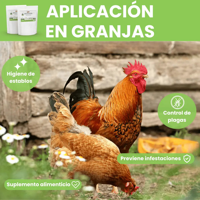 Terra diatomácea micronizada - Remi Hogar