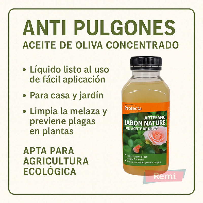 Anti Pulgones Aceite de Oliva concentrado - Jabón Nature - Remi Hogar