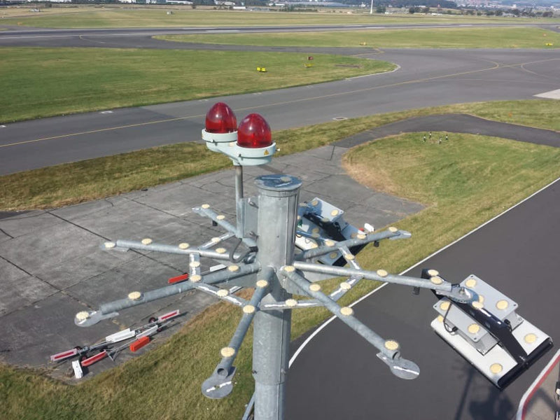 Repelente de Pájaros y Aves - Bird Free - Remi Hogar