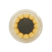 Repelente de Pájaros y Aves - Bird Free - Remi Hogar