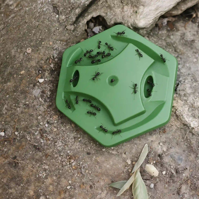 Cebo insecticida en gel para interior y exterior 20 unidades - Defens Gel Trampas Hormigas - Remi Hogar