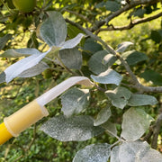 Espolvoreador Bazoca 750 gr - Matabi - Remi Hogar