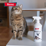 Defenolor - Spray Anti Micciones para Perros, Gatos y Palomas 750 ml - Remi Hogar