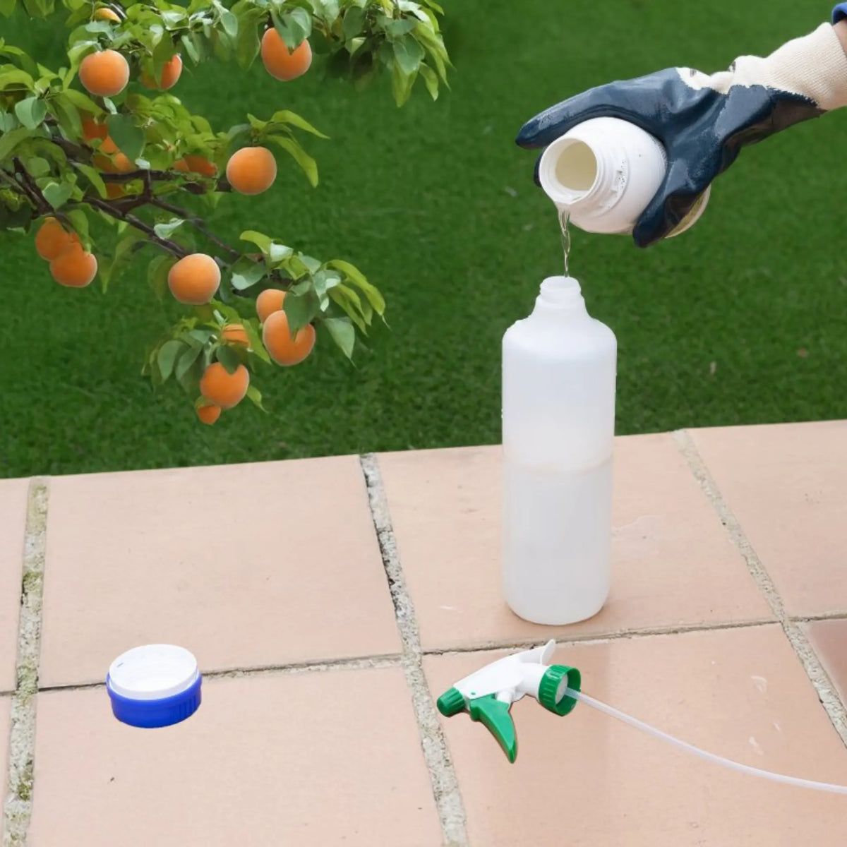 Massó Jed tratamiento ecológico para eliminar insectos y ácaros en frutales y cítricos aceite Insecticida Acaricida 500 ml