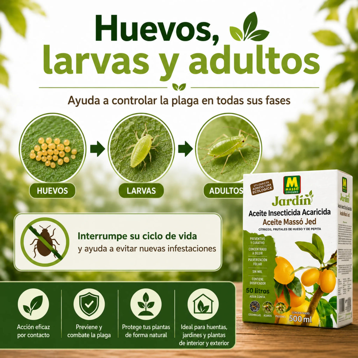 Massó Jed tratamiento ecológico para eliminar insectos y ácaros en frutales y cítricos aceite Insecticida Acaricida 500 ml