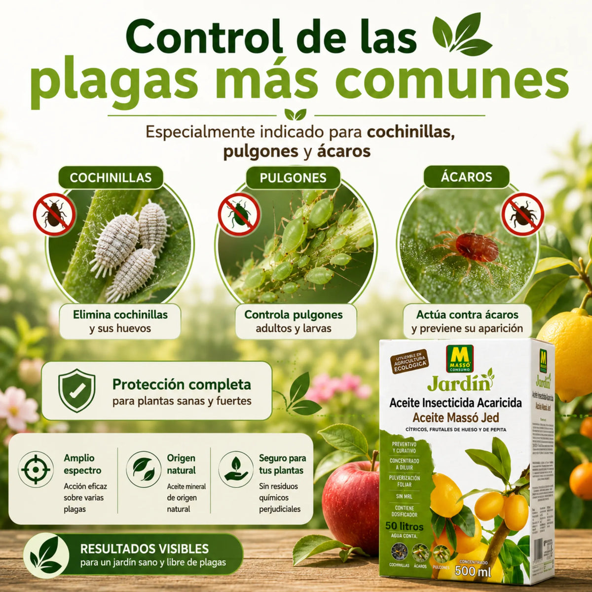 Massó Jed tratamiento ecológico para eliminar insectos y ácaros en frutales y cítricos aceite Insecticida Acaricida 500 ml