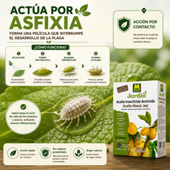 Massó Jed tratamiento ecológico para eliminar insectos y ácaros en frutales y cítricos aceite Insecticida Acaricida 500 ml