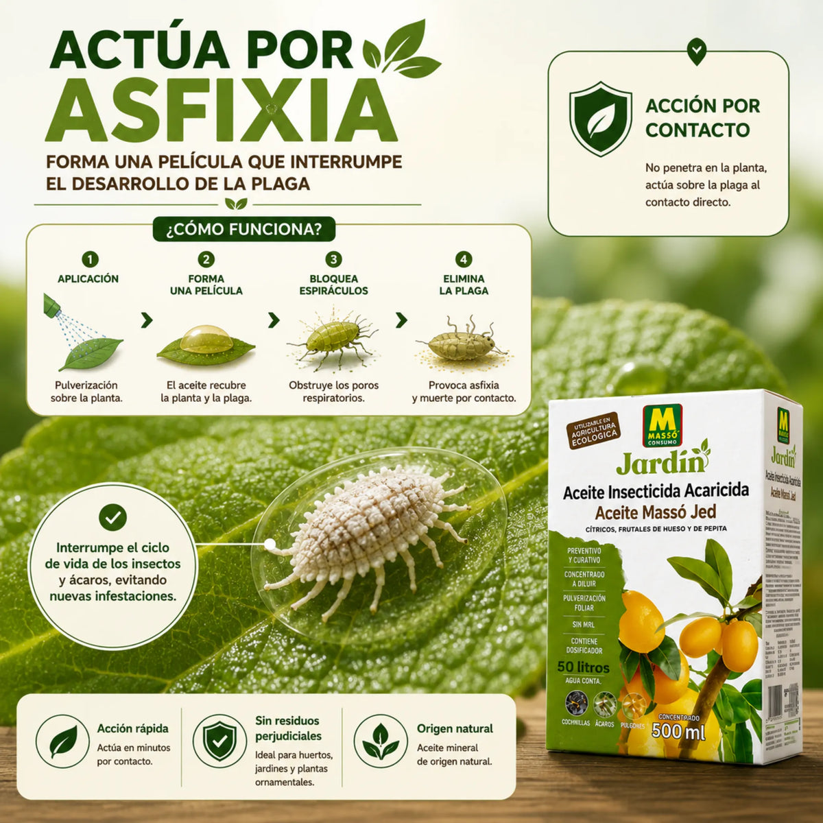 Massó Jed tratamiento ecológico para eliminar insectos y ácaros en frutales y cítricos aceite Insecticida Acaricida 500 ml