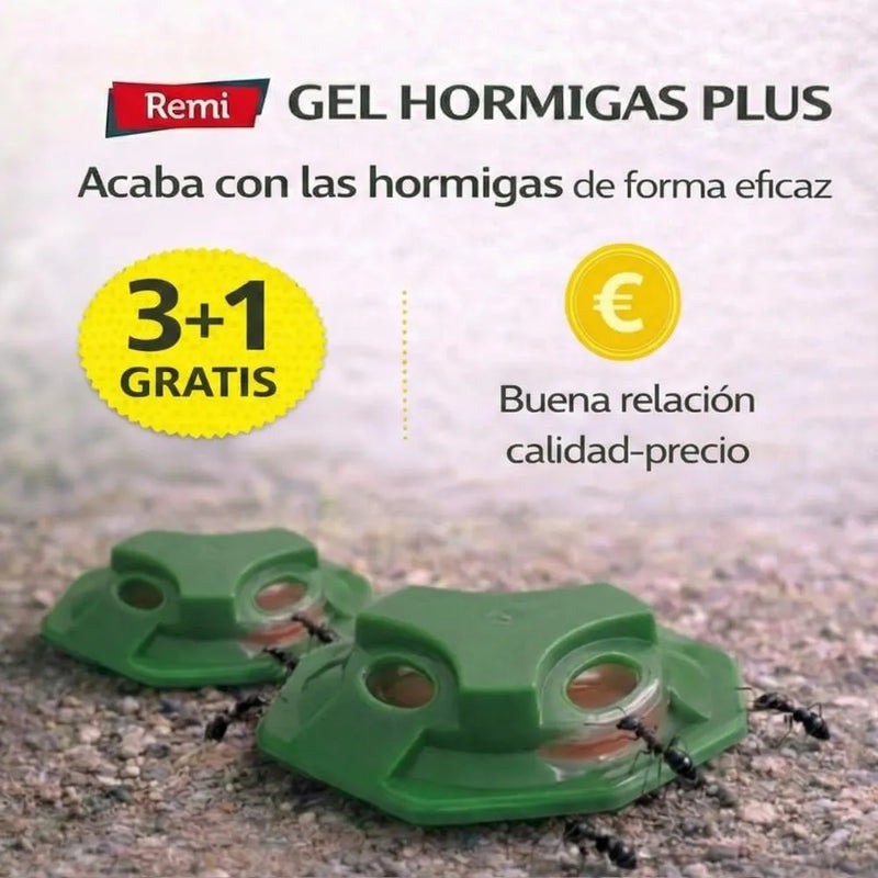 Pack 4 Trampas Gel Hormigas Plus - Remi Hogar - Remi Hogar