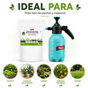 Kit Tierra de Diatomeas 1 kg de alta pureza y Pulverizador 2 L insecticida