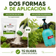 Kit Tierra de Diatomeas 1 kg de alta pureza y Pulverizador 2 L insecticida