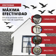 Pinchos Anti Gaviota - Remi Hogar - Remi Hogar