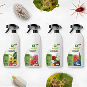 Insecticida Ecológico para Pulgones en huevos, larvas y adultos de forma eficaz