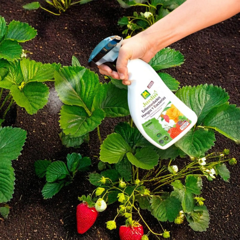 Pistola Enfermedades Hongos y Bacterias en plantas ornamentales y hortícolas 750 ml Massó