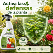Pistola Enfermedades Hongos y Bacterias en plantas ornamentales y hortícolas 750 ml Massó