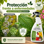 Pistola Enfermedades Hongos y Bacterias en plantas ornamentales y hortícolas 750 ml Massó
