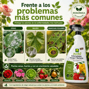 Pistola Enfermedades Hongos y Bacterias en plantas ornamentales y hortícolas 750 ml Massó