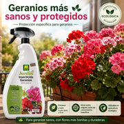Tratamiento listo para usar en geranios con acción preventiva y curativa contra Pulgones, Araña Roja y Cochinillas